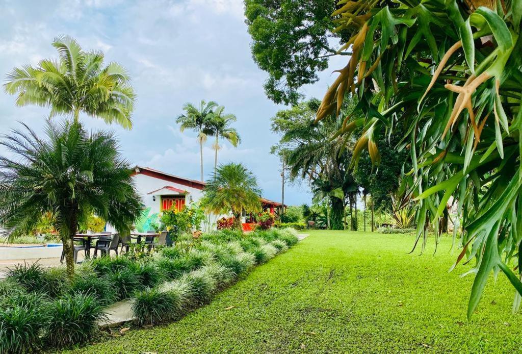 Finca Hotel El Laurel - Parque Del Cafe 몬테네그로 외부 사진