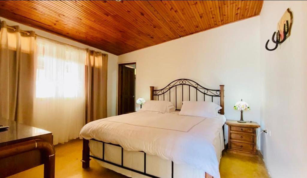 Finca Hotel El Laurel - Parque Del Cafe 몬테네그로 외부 사진